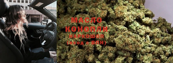 молекула духа Горнозаводск