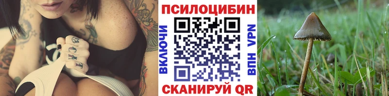 Псилоцибиновые грибы GOLDEN TEACHER  Купить где  Баймак 
